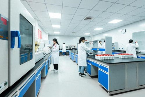 不看不知道，原来白酒和健康的关系这么奇妙——数字技术服务赋能新认知