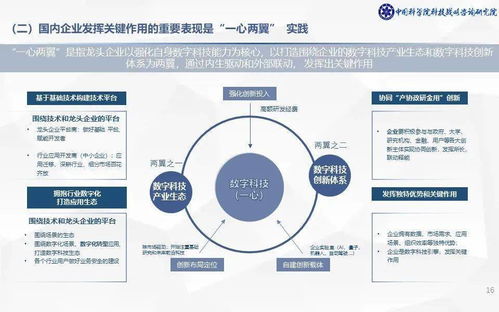 数字科技创新战略中企业的关键作用研究